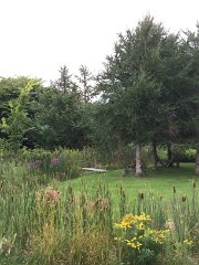 2016-08-21 17.36.08-1
